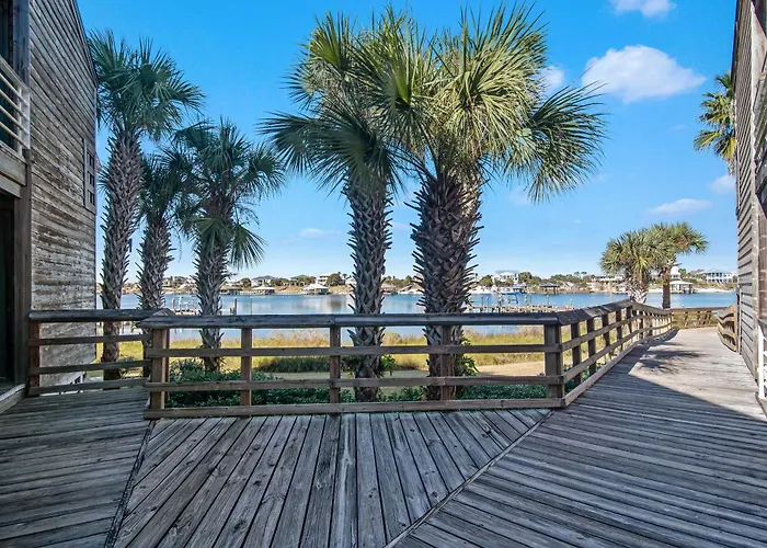 Needle Rush Point Unit D24 * Pensacola